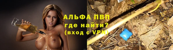 трава Осинники