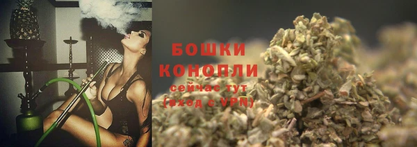 трава Осинники