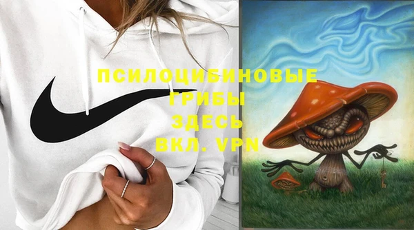 метадон Осташков