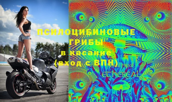 трава Осинники