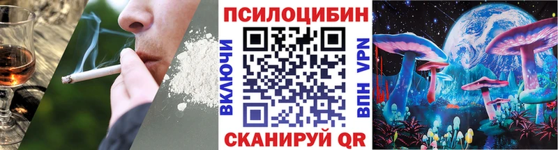 Псилоцибиновые грибы Cubensis  Купить закладки  Орёл 